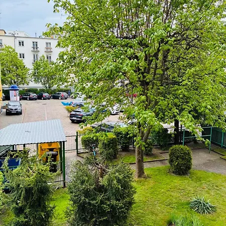 Muszelka Nadmorskie Miejsce Gdynia
